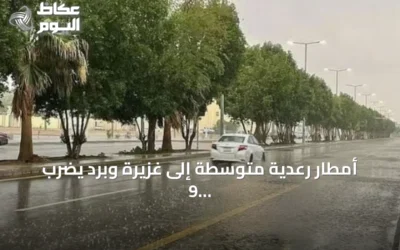 أمطار رعدية متوسطة إلى غزيرة وبرد يضرب 9 مناطق سعودية اليوم الأربعاء