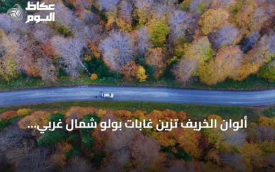 ألوان الخريف تزين غابات بولو شمال غربي تركيا