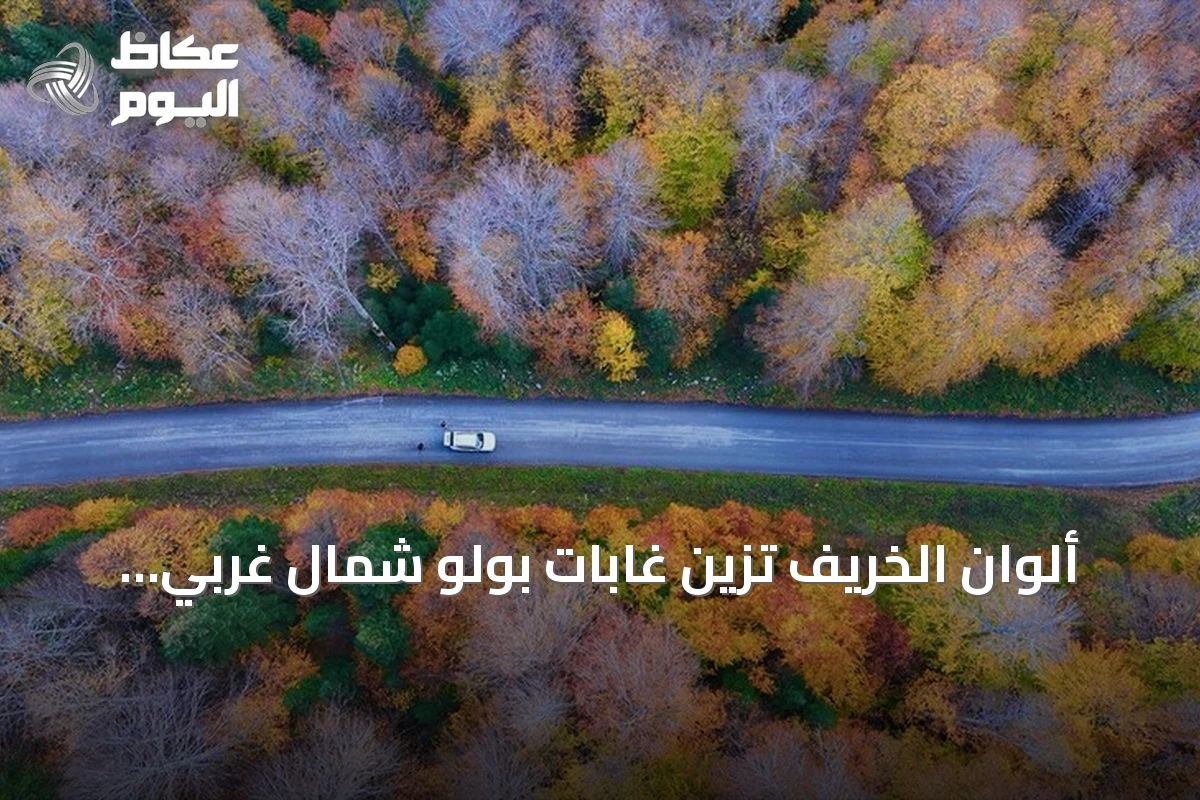 ألوان الخريف تزين غابات بولو شمال غربي تركيا