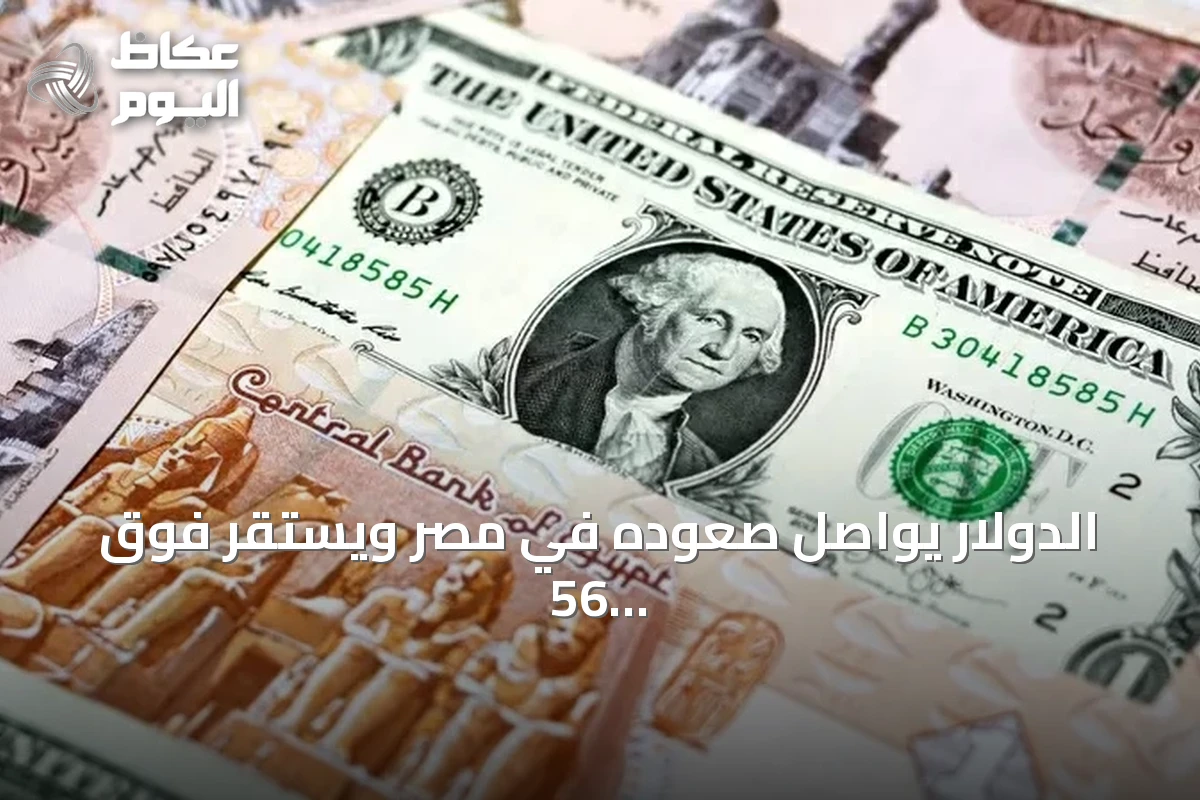 الدولار يواصل صعوده في مصر ويستقر فوق 56 جنيهاً