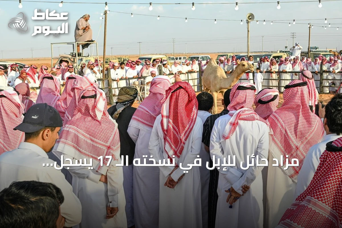 مزاد حائل للإبل في نسخته الـ 17 يسجل مبيعات تتجاوز 26.3 مليون ريال