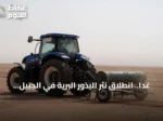 غداً.. انطلاق نثر البذور البرية في الجبيل لتأهيل المراعي الطبيعية