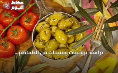 دراسة: بروتينات وببتيدات من الطماطم والزيتون تكبح نمو الأورام