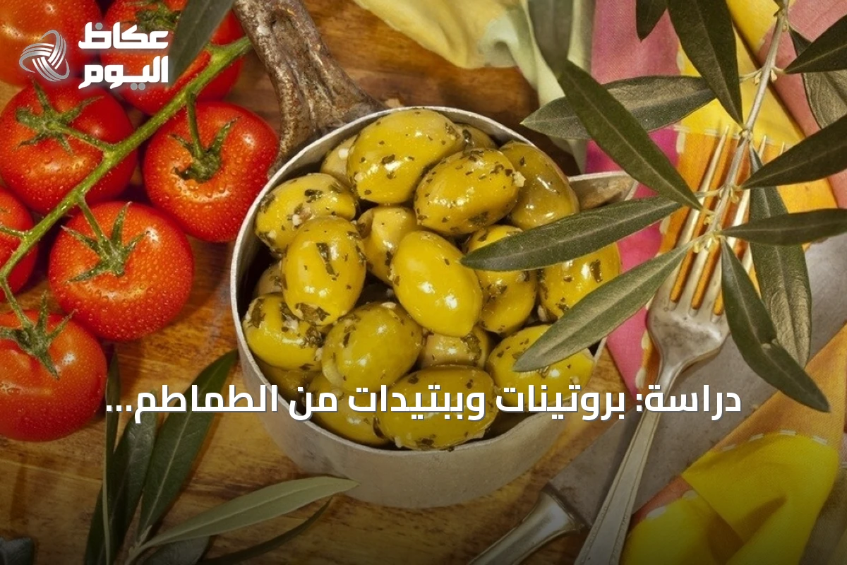 دراسة: بروتينات وببتيدات من الطماطم والزيتون تكبح نمو الأورام