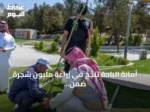 أمانة الباحة تنجح في زراعة مليون شجرة ضمن مبادرة التشجير الحضري