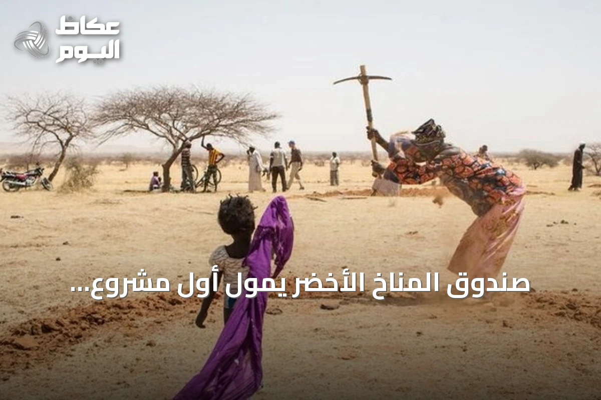 صندوق المناخ الأخضر يموّل أول مشروع جزائري بـ100 مليون دولار لمكافحة التصحر