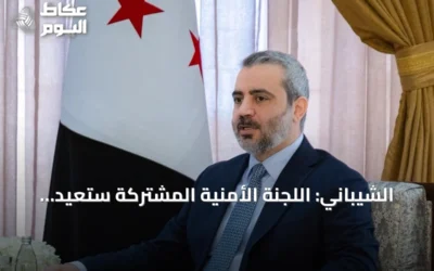 الشيباني: اللجنة الأمنية المشتركة ستعيد الحقوق لأصحابها بعد غارات درعا