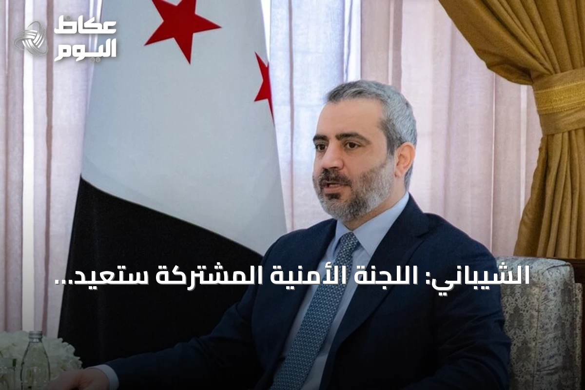 الشيباني: اللجنة الأمنية المشتركة ستعيد الحقوق لأصحابها بعد غارات درعا