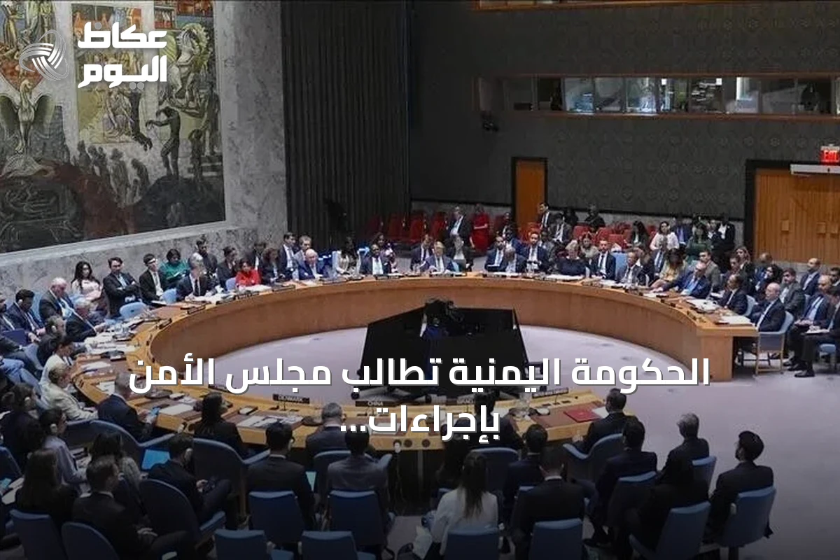 الحكومة اليمنية تطالب مجلس الأمن بإجراءات رادعة لوقف هجمات الحوثي على مطار عدن