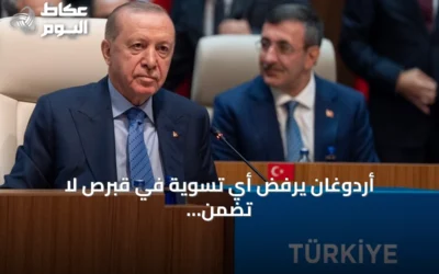 أردوغان يرفض أي تسوية في قبرص لا تضمن حقوق القبارصة الأتراك