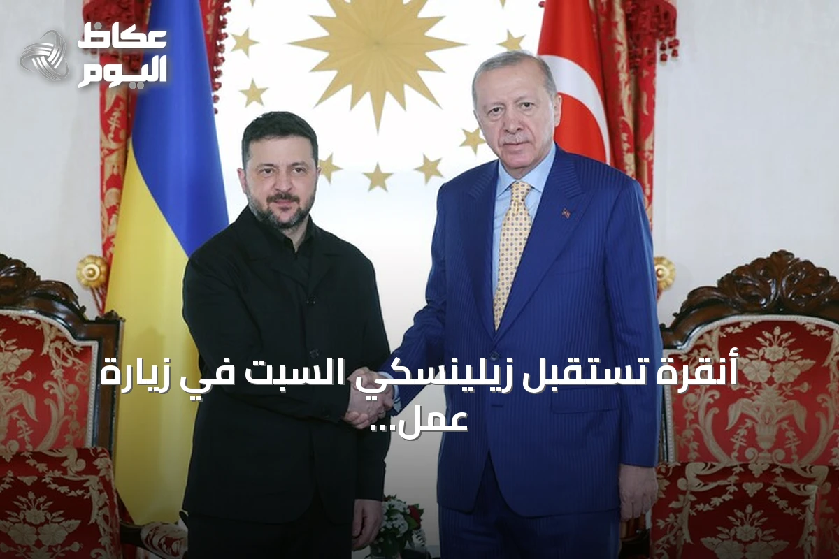 أنقرة تستقبل زيلينسكي السبت في زيارة عمل بدعوة من أردوغان