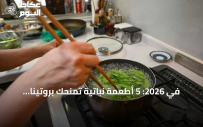 في 2026: 5 أطعمة نباتية تمنحك بروتيناً وأليافاً تفوق البيضة