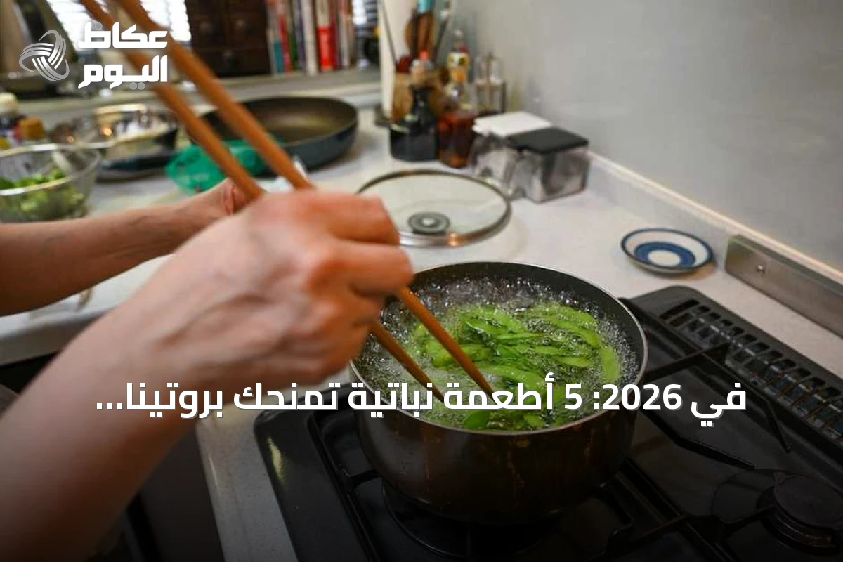 في 2026: 5 أطعمة نباتية تمنحك بروتيناً وأليافاً تفوق البيضة