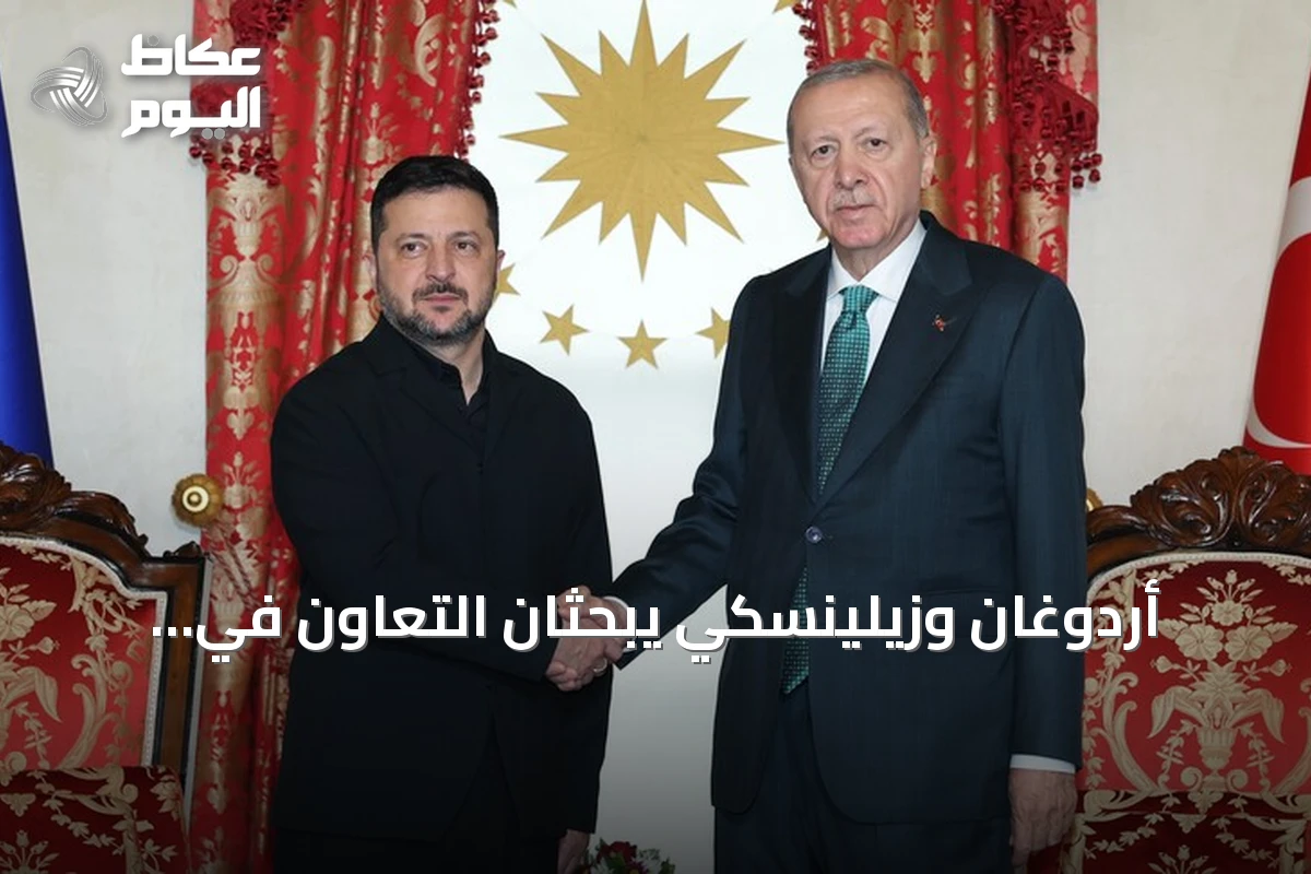 أردوغان وزيلينسكي يبحثان التعاون في إسطنبول