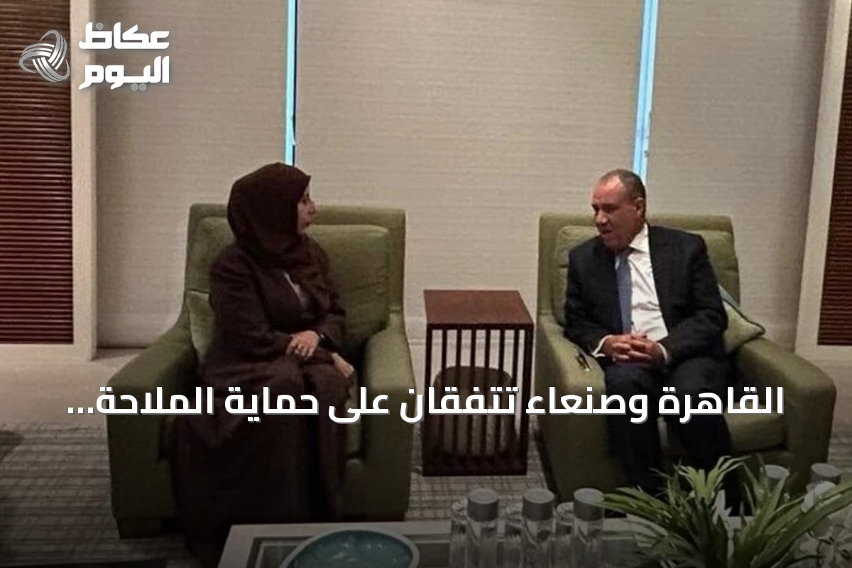 القاهرة وصنعاء تتفقان على حماية الملاحة البحرية في ظل تصعيد باليمن